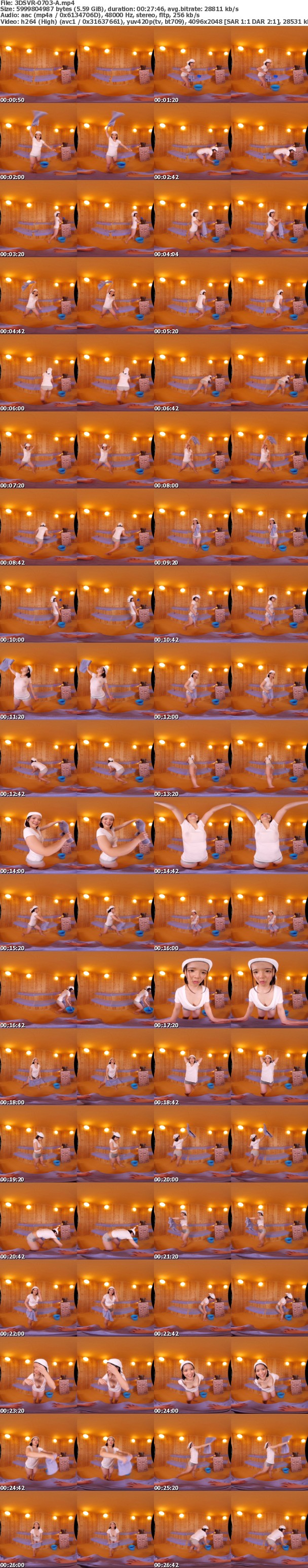 (VR) 3DSVR-0703 混浴ロウリュVR 地方のサウナで大人気！隠れ巨乳の女性熱波師と汗ダク密室性交！！