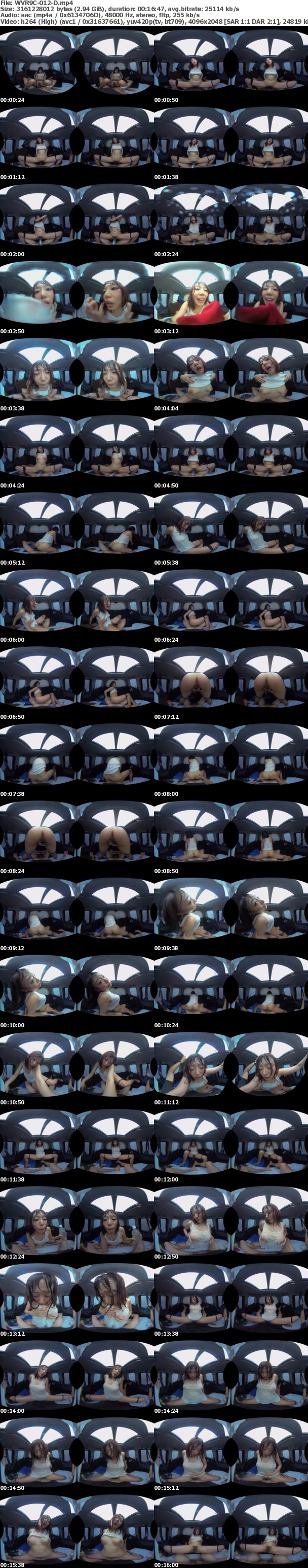 (VR) WVR9C-012 完全リマスター高精細VR 真夏の炎天下の狭い車内で汗だくになって肉欲系カーセックスしまくりました 永久保存版 阿部乃みく 浜崎真緒