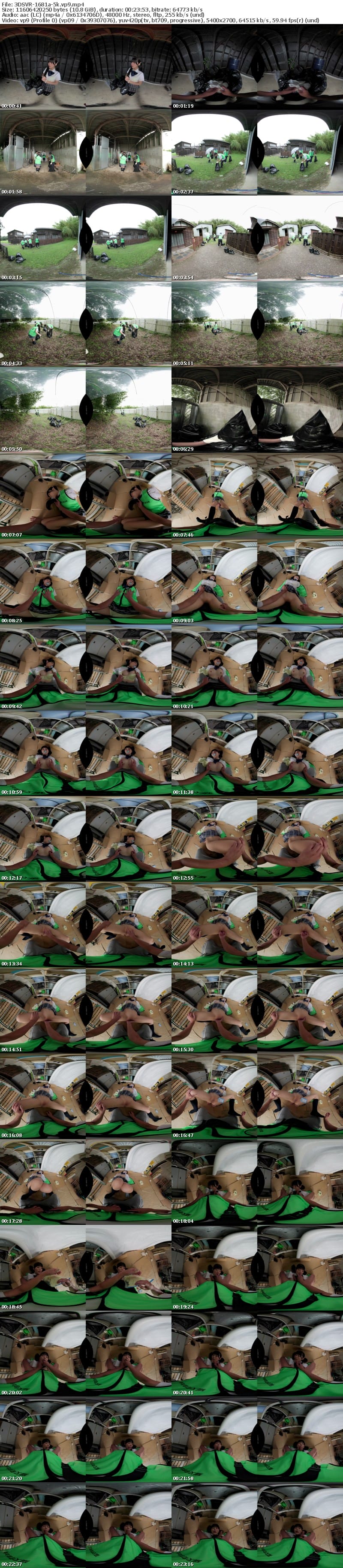 [VR] 3DSVR-1681 【VR】【8K】【高画質 追跡視点】休日に地域のゴミ拾いに参加する心が綺麗な少女を捕獲して淫行