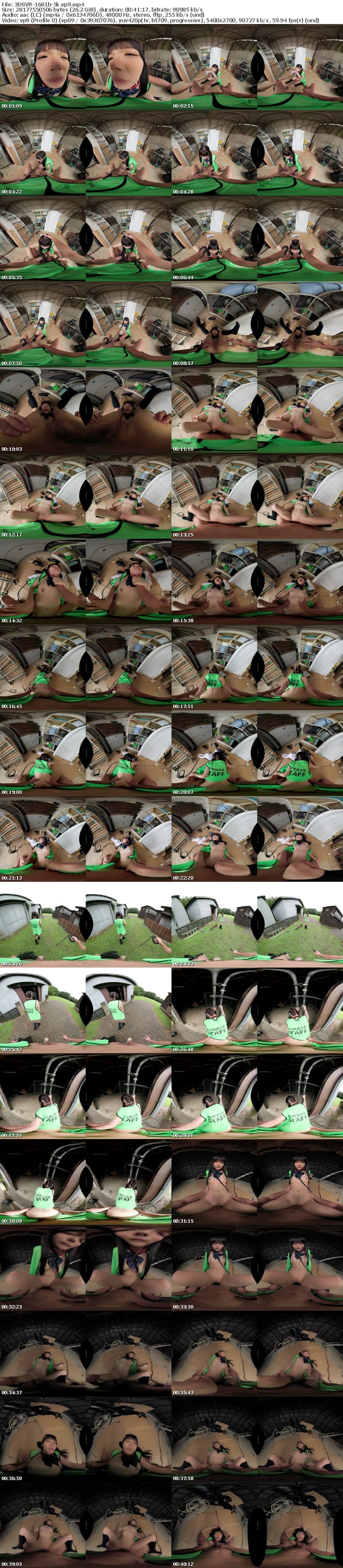 [VR] 3DSVR-1681 【VR】【8K】【高画質 追跡視点】休日に地域のゴミ拾いに参加する心が綺麗な少女を捕獲して淫行