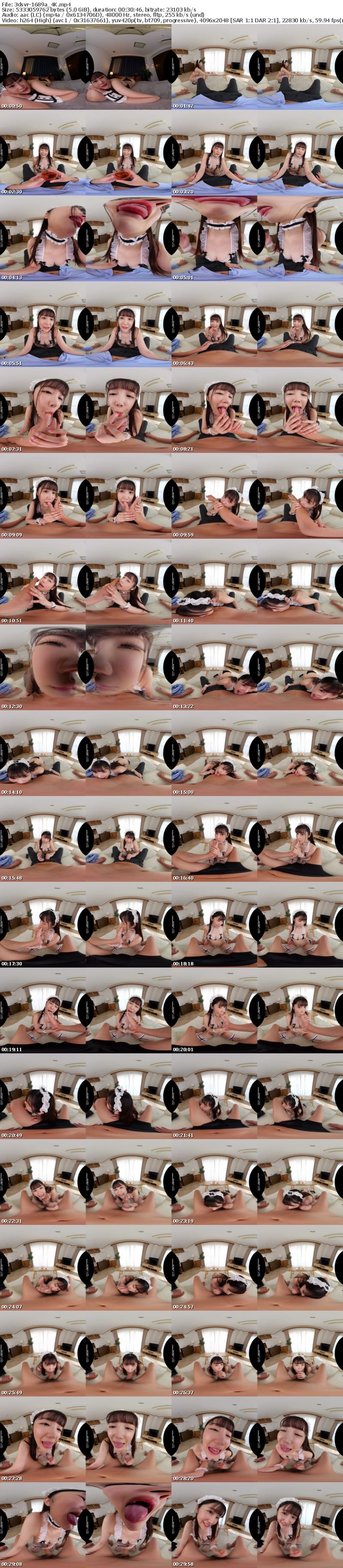 [VR] 3DSVR-1689 【VR】【8K】（顔面特化・天井特化）で S級に可愛い顔をじっくり見ながら、いつでもどこでも、チンシャブ極上テクニックで ご奉仕してくれるおしゃぶり大好き、妹（いもうと）ランジェリーメイド 椎名小春
