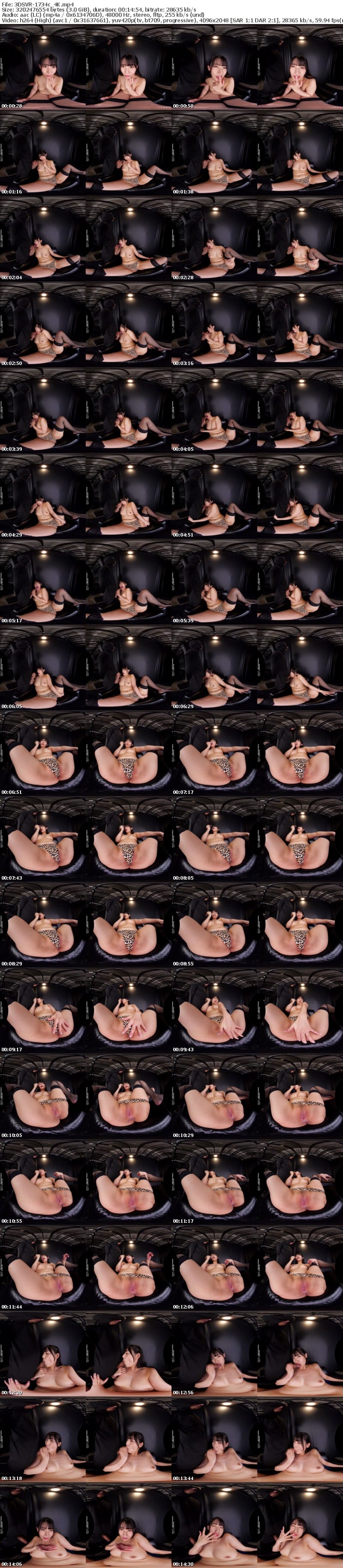 [VR] 3DSVR-1734 【VR】【8K】ハイパー卑猥アングル 肉厚プリ膣＆デカ尻＆結合部フェチ淫乱ポーズSPECIAL！！！ 宇流木さらら