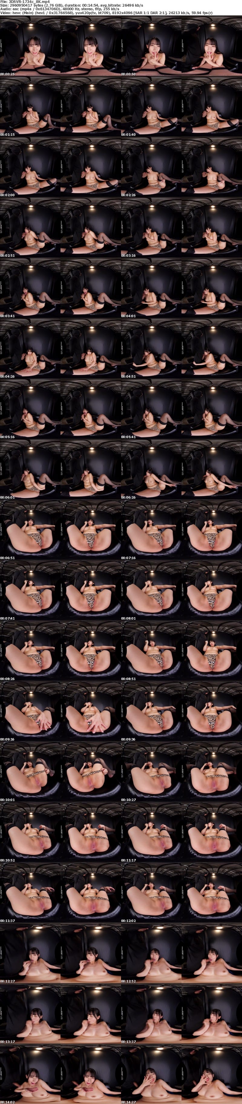 [VR] 3DSVR-1734 【VR】【8K】ハイパー卑猥アングル 肉厚プリ膣＆デカ尻＆結合部フェチ淫乱ポーズSPECIAL！！！ 宇流木さらら