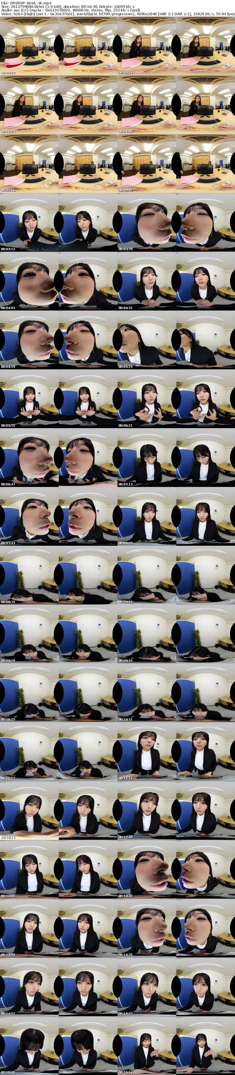 [VR] URVRSP-464 【VR】【8K VR】サイレントジェラシー 嫉妬した口下手な先輩に無言＆ジト目で見つめられ、有無を言わさぬ濃密ベロチュウ性交で完堕ちするまで分からされた激情片想い 北岡果林
