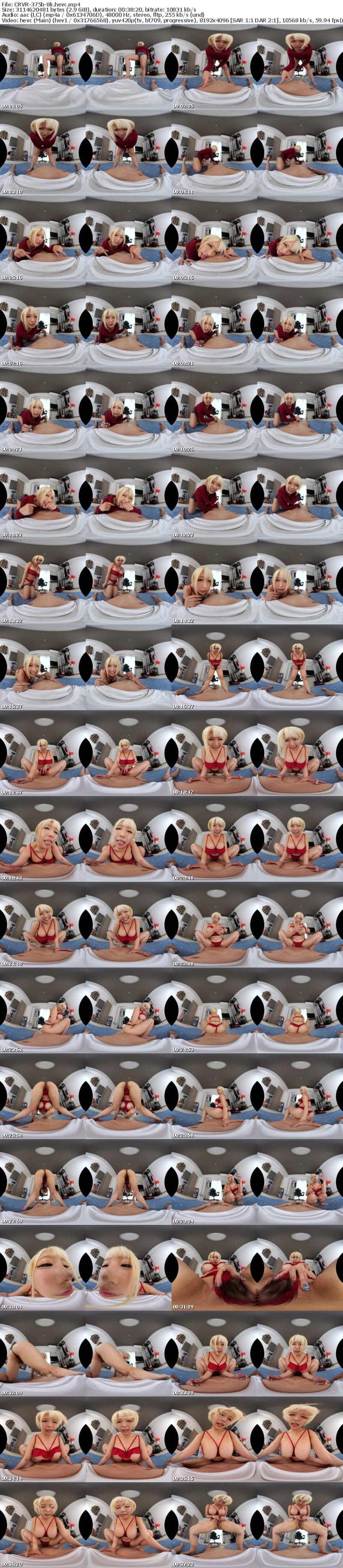 [VR] CRVR-375 【VR】【8KVR】果たして噂は本当なのか？勃起したアレを見せるとヤラせてくれると噂の先輩にオレの愚息を見せてみたッ！ 乙アリス