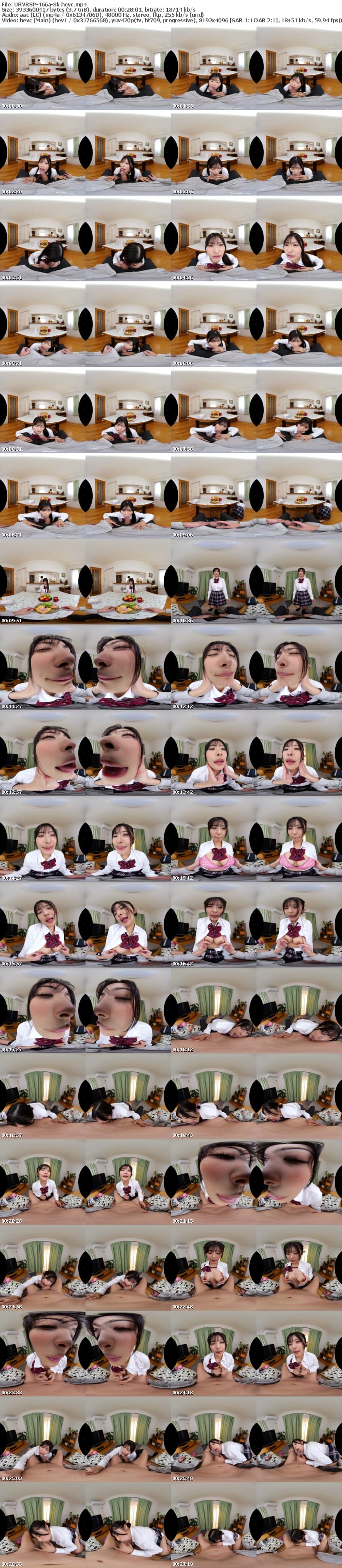 [VR] URVRSP-466 【VR】【8K VR】調教された妹はどこでもいつでもフェラしてくれる 似鳥日菜