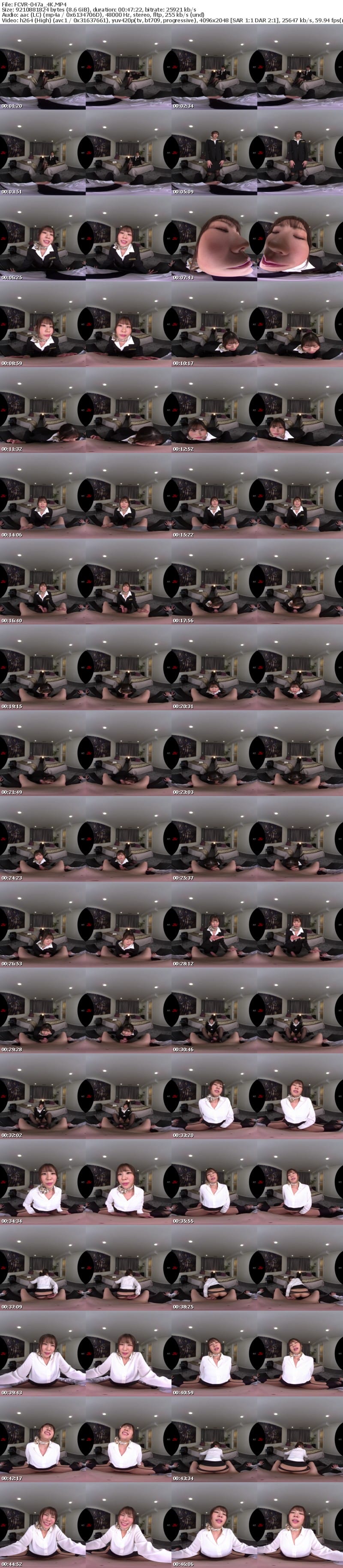 [VR] FCVR-047 【VR】【Fitch高画質8K肉感VR】藤森ひなみが遂にVR解禁！ 普段は気配り上手で礼儀正しいCAのひなみが今日に限ってめちゃくちゃ不機嫌で… 機長の俺が叱られ淫語で一晩中責められ続ける不倫中出しSEX