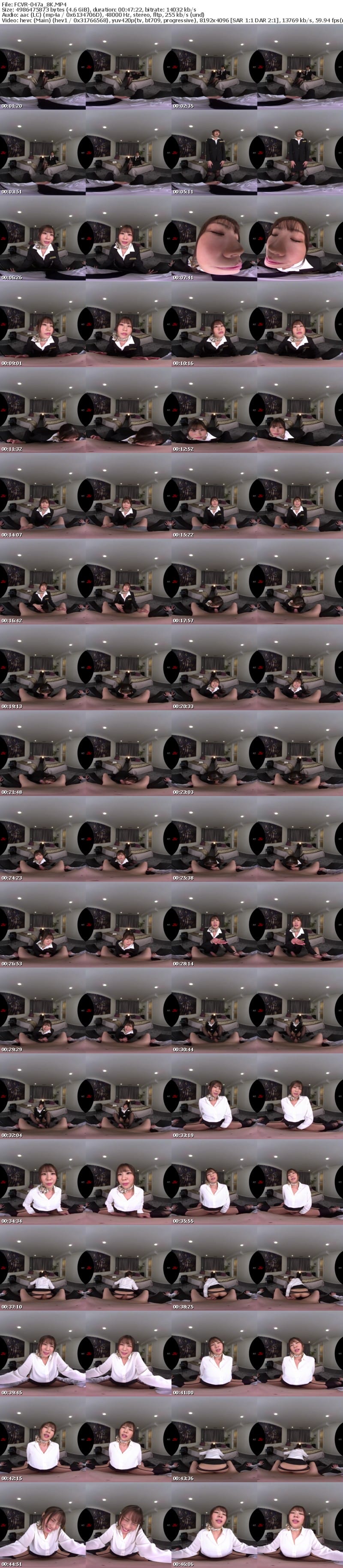 [VR] FCVR-047 【VR】【Fitch高画質8K肉感VR】藤森ひなみが遂にVR解禁！ 普段は気配り上手で礼儀正しいCAのひなみが今日に限ってめちゃくちゃ不機嫌で… 機長の俺が叱られ淫語で一晩中責められ続ける不倫中出しSEX