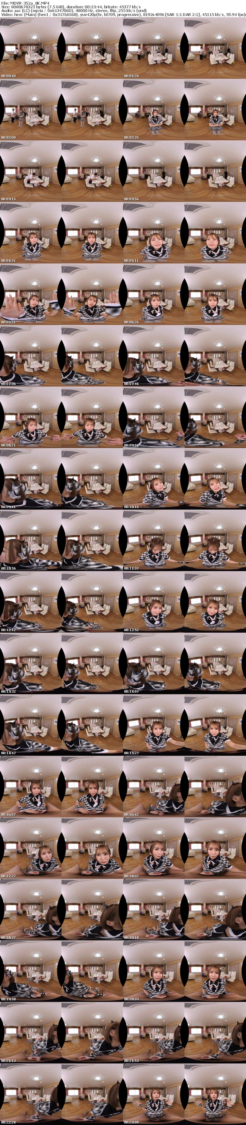 [VR] MDVR-352 【VR】松本いちかがまさかの僕だけ特別扱い…！？ASMR×見下し言葉責めで最高のちんシコ射精ざぁ～こ会