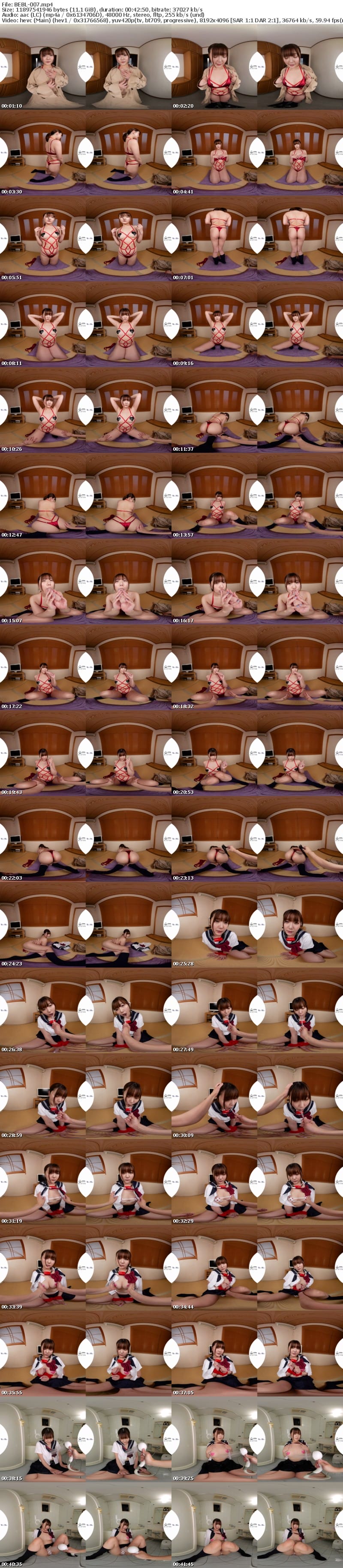 [VR] BEBL-007 【VR】服従の品位 ばにたん