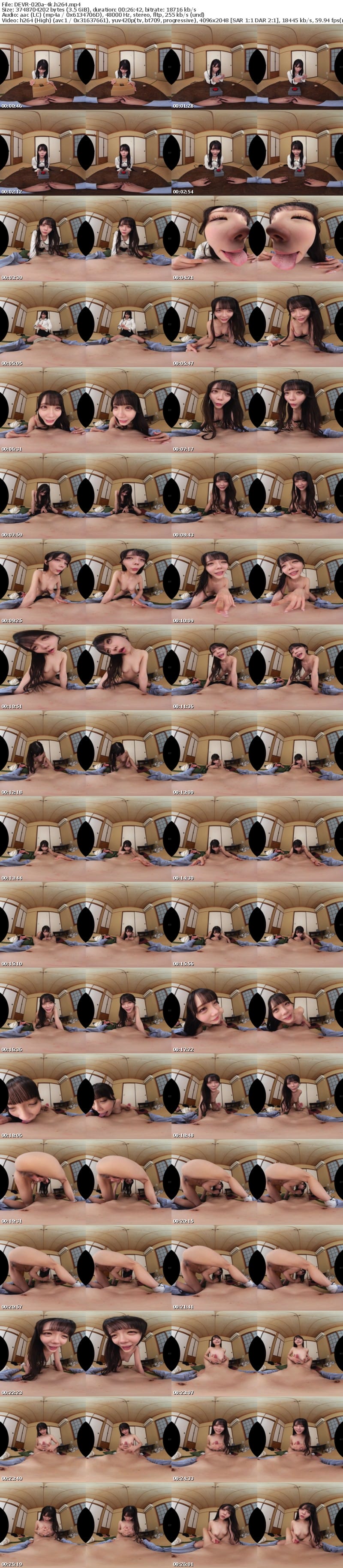 [VR] DEVR-020 【VR】『押すだけで100万円が手に入るボタン』を押してしまった代償として幼馴染が絶倫淫獣化して無限に射精させられた話 美澄玲衣