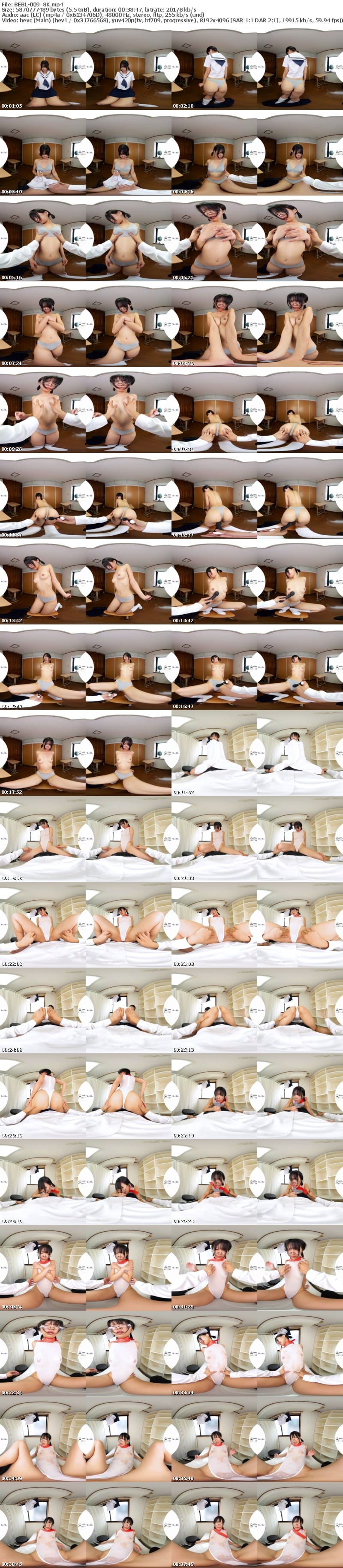 [VR] BEBL-009 【VR】服従の品位 まんげつおちゃずけくも