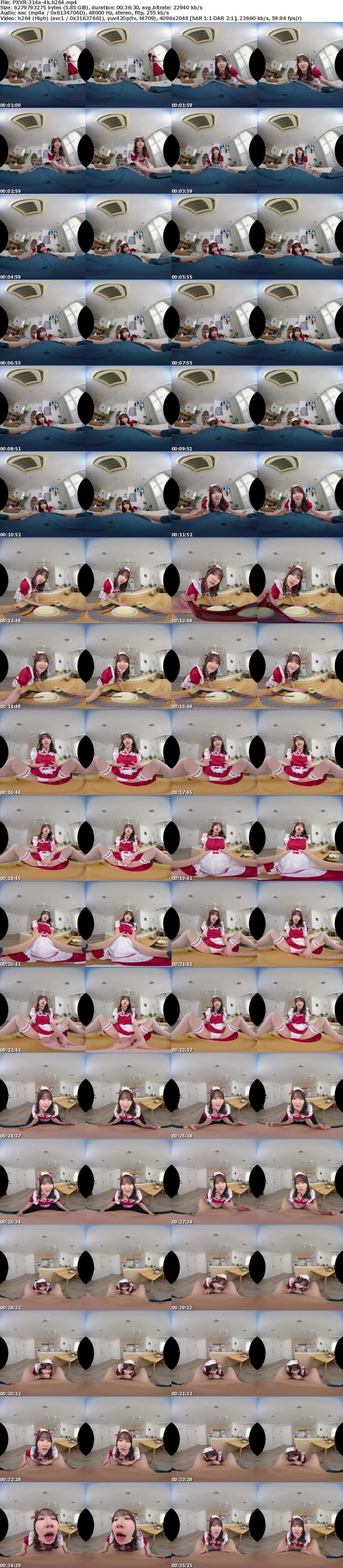 [VR] PXVR-314 【VR】家事も性処理も超一流！！朝フェラから夜の営みまで24 時間生放題のエリートメイド 依本しおり【8K】