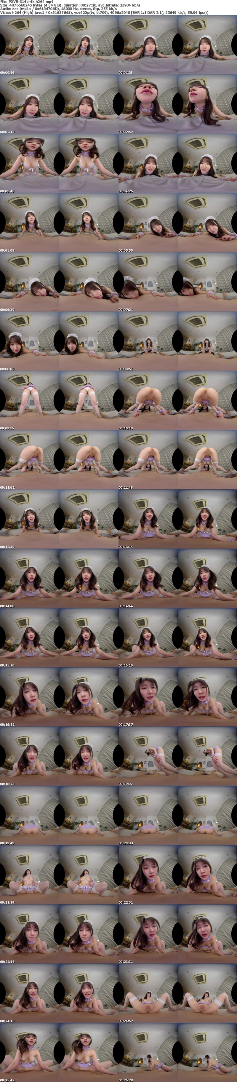 [VR] PXVR-314 【VR】家事も性処理も超一流！！朝フェラから夜の営みまで24 時間生放題のエリートメイド 依本しおり【8K】