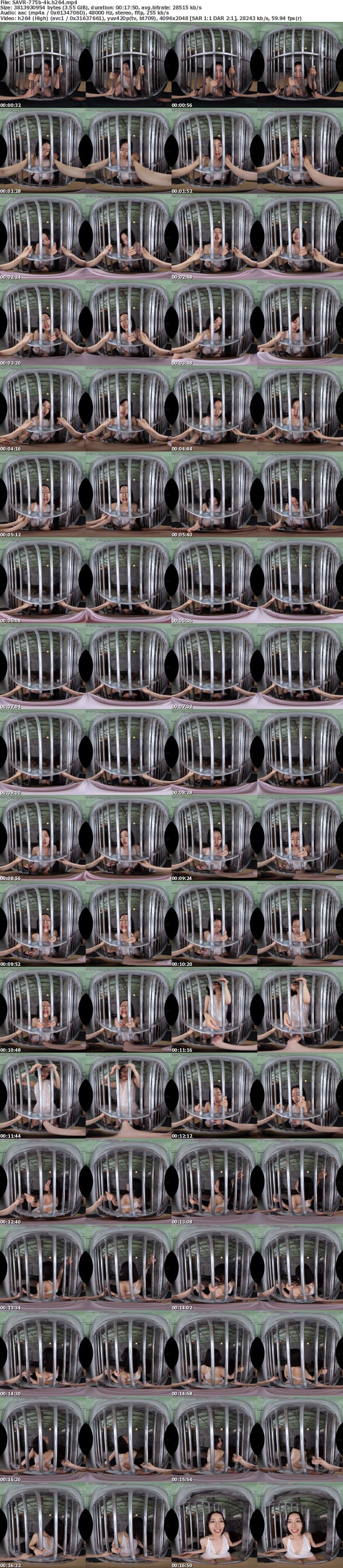 [VR] SAVR-775 【VR】禁欲中の彼女は強盗に襲われ牢屋に閉じ込められるも、性欲ダダ漏れで僕のチ〇ポを求めて格子越しSEX 美咲かんな