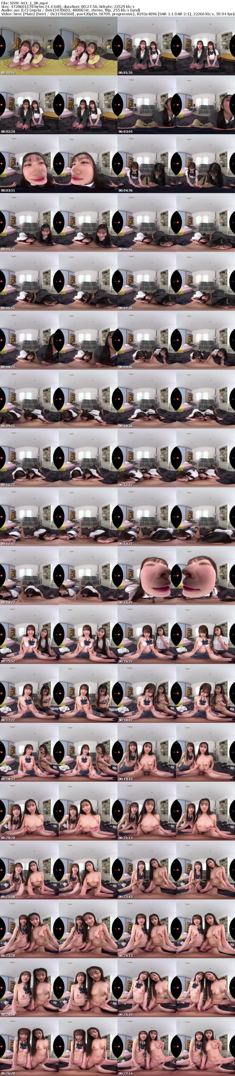 [VR] SIVR-443 【VR】高身長スレンダー美人姉妹シェアハウス 狭いワンルームで禁欲中の幼馴染2人の性処理係にされてたった一晩で一発、二発、三発…四発も！！ザーメン根こそぎ搾取された僕 明日葉みつは 白上咲花