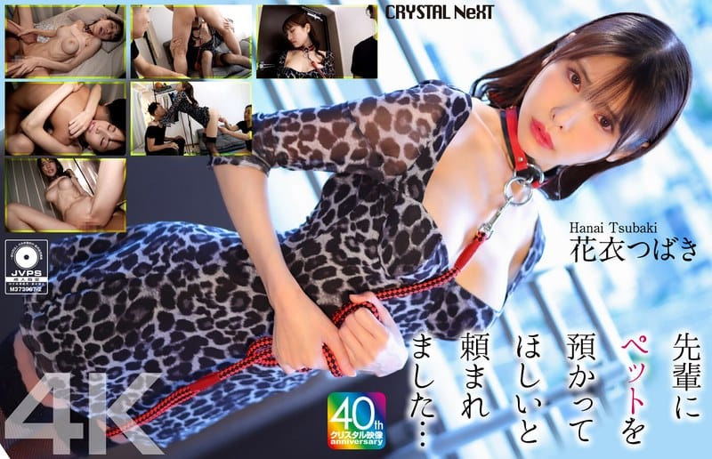 [4K resolution] CRNX-254 【4K】先輩にペットを預かってほしいと頼まれました… 花衣つばき