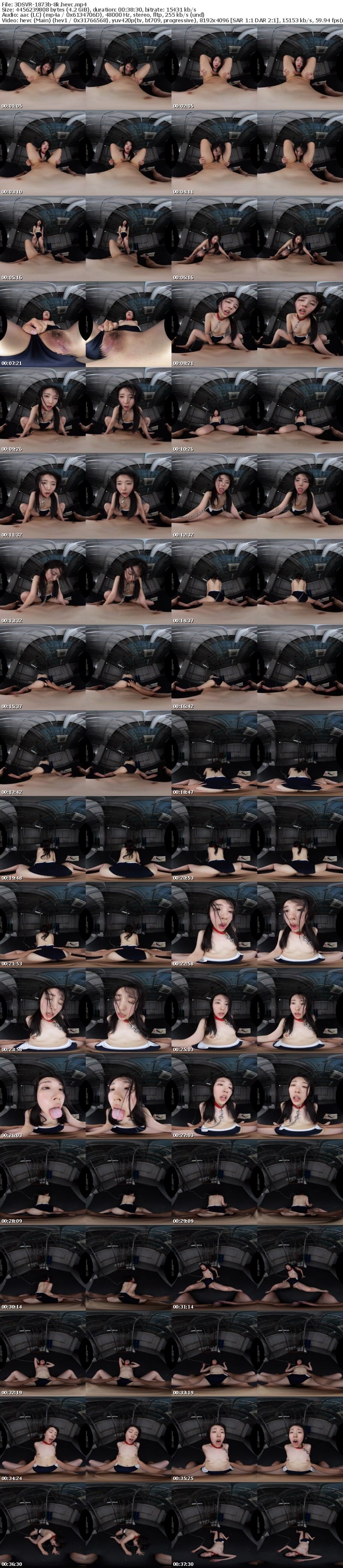 [VR] 3DSVR-1873 【VR】【8K】脱法スク水ヘルス 親無し、家無し、会話不能でヤク中。本能だけで身体を売って暮らす少女。 皆月ひかる