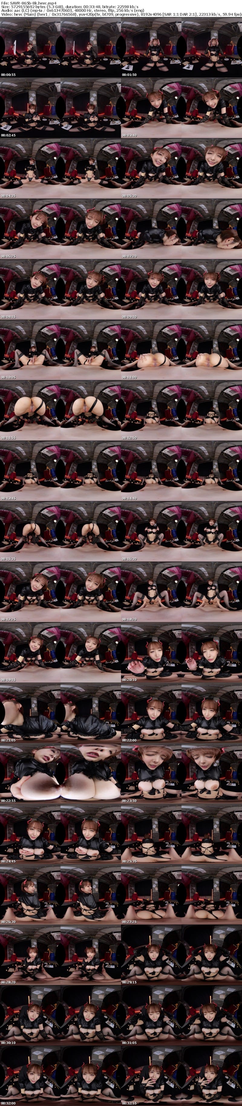 [VR] SAVR-865 【VR】やりたい放題・好き放題に 男の精液を喰らいつくすギャルバス降臨 弥生みづき