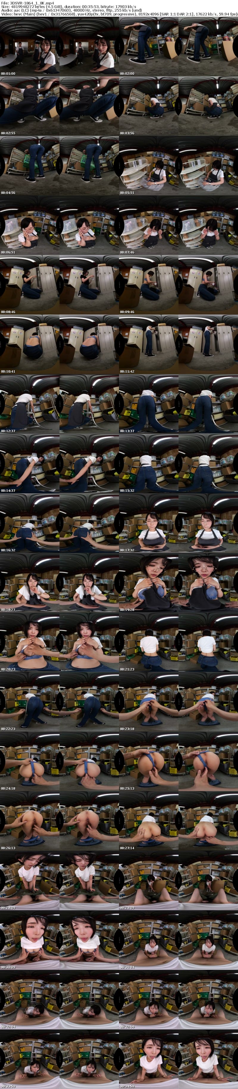 [VR] 3DSVR-1864 【VR】【8K】仕分け作業中にムラついたら、即ヌイてくれる倉庫パートの若妻Nさん。