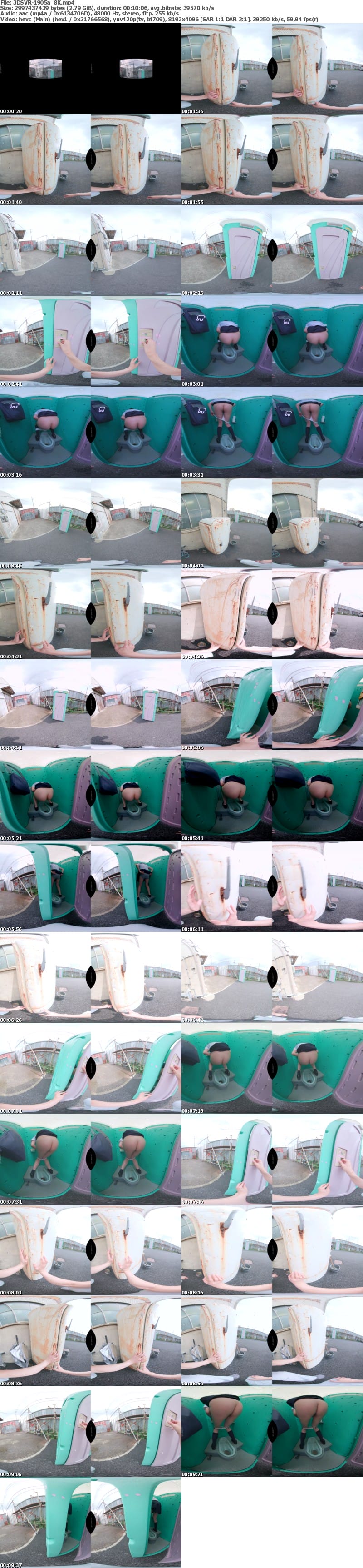 [VR] 3DSVR-1905 【VR】【8K】我慢できず建設現場の仮設トイレを無断で使ったJ●に鬼イラマでお仕置きレ●プ 尿意に抗えず迷い込んだのは鍵が壊れたワケありトイレでした… 依本しおり