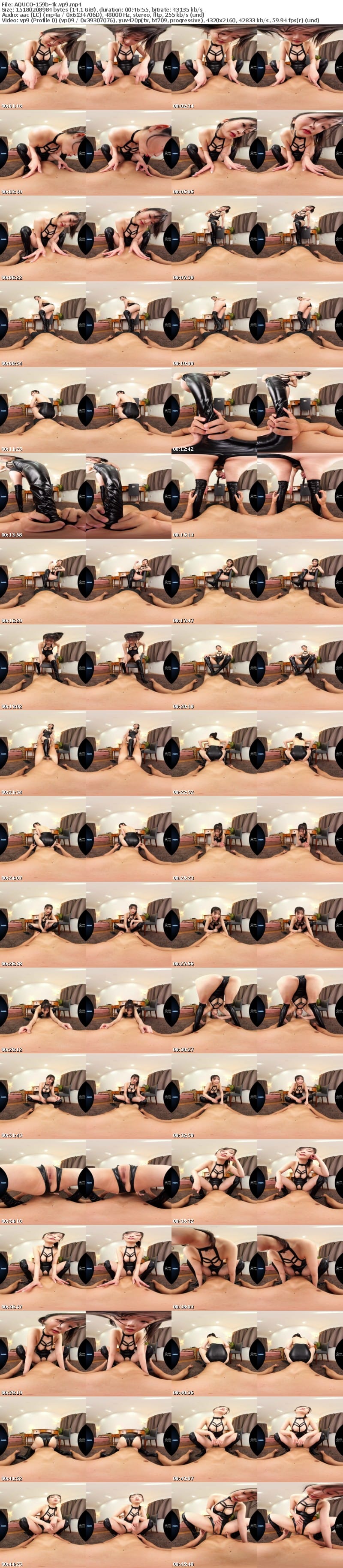 [VR] AQUCO-159 【VR】【革フェチ特化】173cm 長身足長ドSお姉さんの光沢レザーサディスティックファック 滝ゆいな