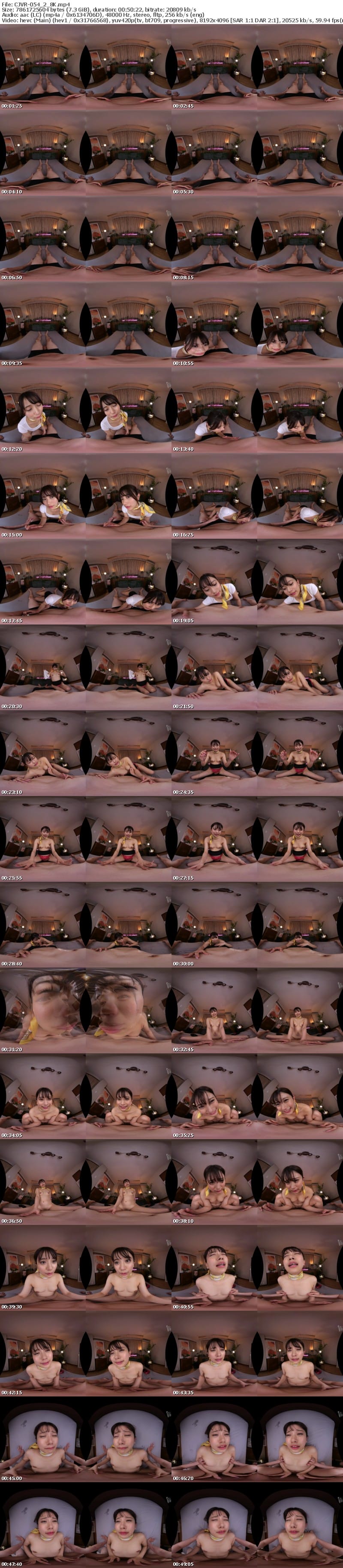 [VR] CJVR-054 【VR】乳首をさすさす！こねこね！カリカリ！性感120％の同時責め射精の快感に導く中出しOK乳首開発エステ 北岡果林