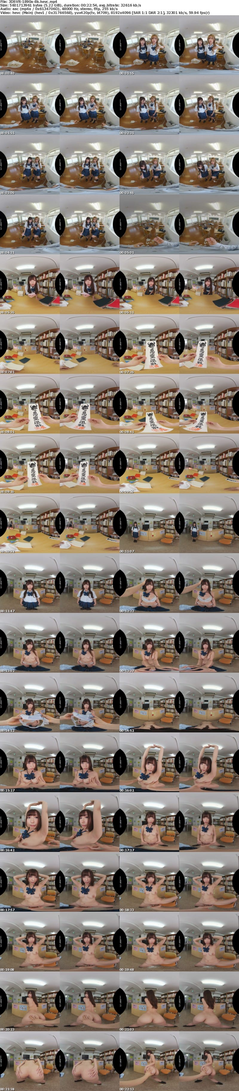 [VR] 3DSVR-1890 【VR】【8K】領域結界 ～完全無敵になれる学園にようこそ…イヒッ！この女子校生たちが今日も一日元気に肉便器授業に励んでくれるのだ…