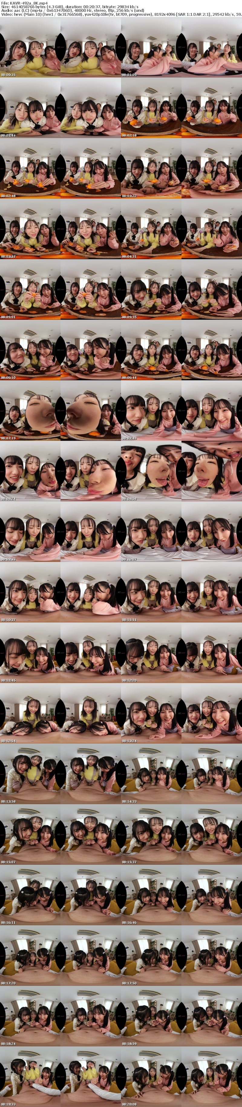 [VR] KAVR-492 【VR】顔面特化×ベロキス×ハーレム痴女っ娘（こ） 顔面優勝すぎる姪っ子3姉妹の幼つるまんにありったけの精子ドピュッドピュッドピュッ 西元めいさ 八坂凪 由良かな